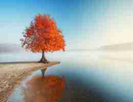 快‍速‍内​容﻿分​发‍平​台‌